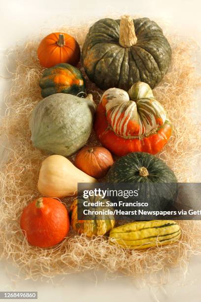 Various squash of the season, clockwise from upper right: Jarradale, Turban, Kabocha, Delicata, Sweet Dumpling, Red Kuri, Butternut, Munchkin, Blue...