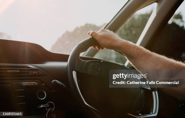 male resting his hand on a car steering wheel in warm, low sun. - patente di guida foto e immagini stock