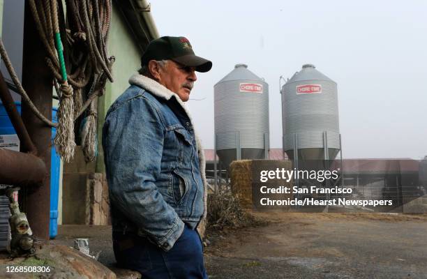 Joe Tresch waits for the morning milk transport truck to arrive at the organic Tresch Family Farm in Petaluma, Calif. On Tuesday Feb. 11, 2014. Even...