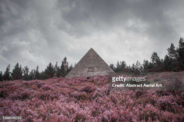 prince albert’s cairn and blooming heather, scotland, united kingdom - grampian   scotland imagens e fotografias de stock