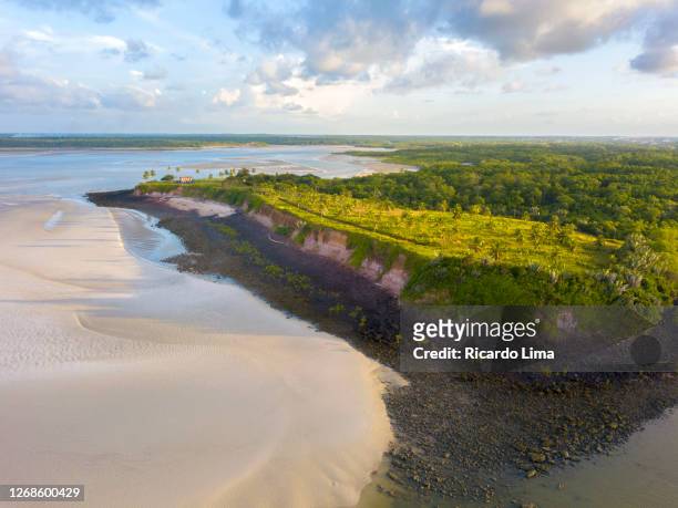 aerial view of atalaia beach - pará state, brazil - ricardo corral stock pictures, royalty-free photos & images