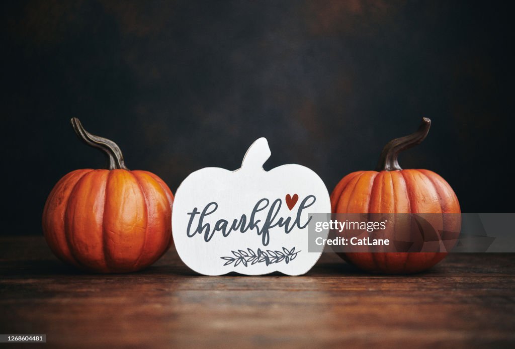 Still life Thanksgiving background with vibrant pumpkins and holiday message