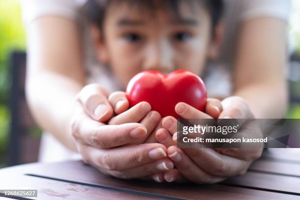 women hand holding heart, heart disease concept - rotes kreuz stock-fotos und bilder