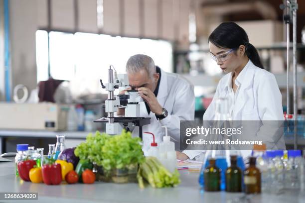 researchers using microscope analytical food quality and develop the product, scientific testing solution - alimento genéticamente modificado fotografías e imágenes de stock