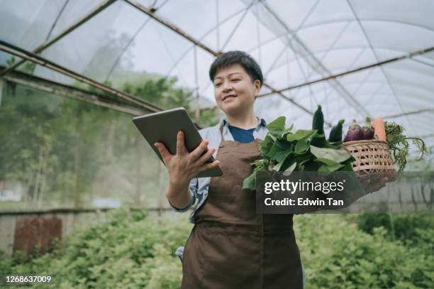 asian chinese mid adult woman examining her organic farm growth with digital tablet recording - business owner stock pictures, royalty-free photos & images