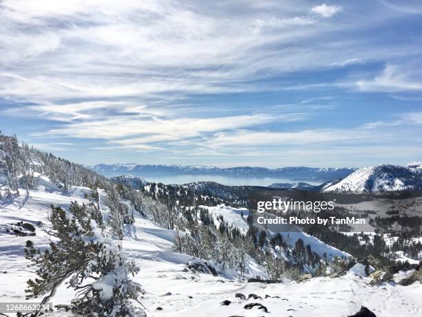 views around mount rose, tahoe. - lake tahoe skiing stock pictures, royalty-free photos & images