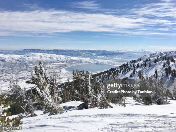 234 Mount Rose Ski Tahoe Stock Photos, High-Res Pictures, and Images ...