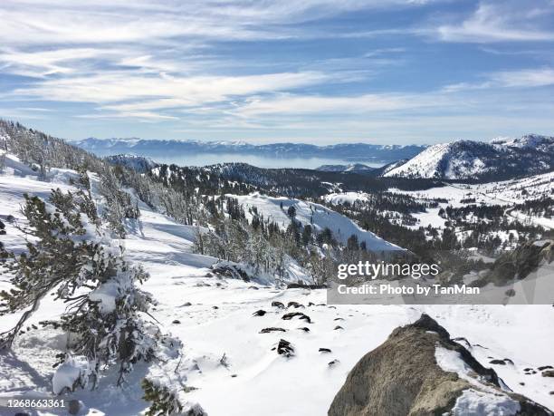 views around mount rose, tahoe. - lake tahoe skiing stock pictures, royalty-free photos & images