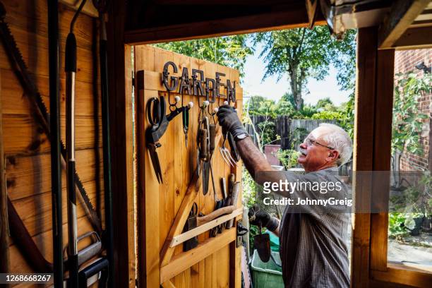 uomo anziano che seleziona lo strumento della mano dalla porta del capannone di giardinaggio - gardening equipment foto e immagini stock
