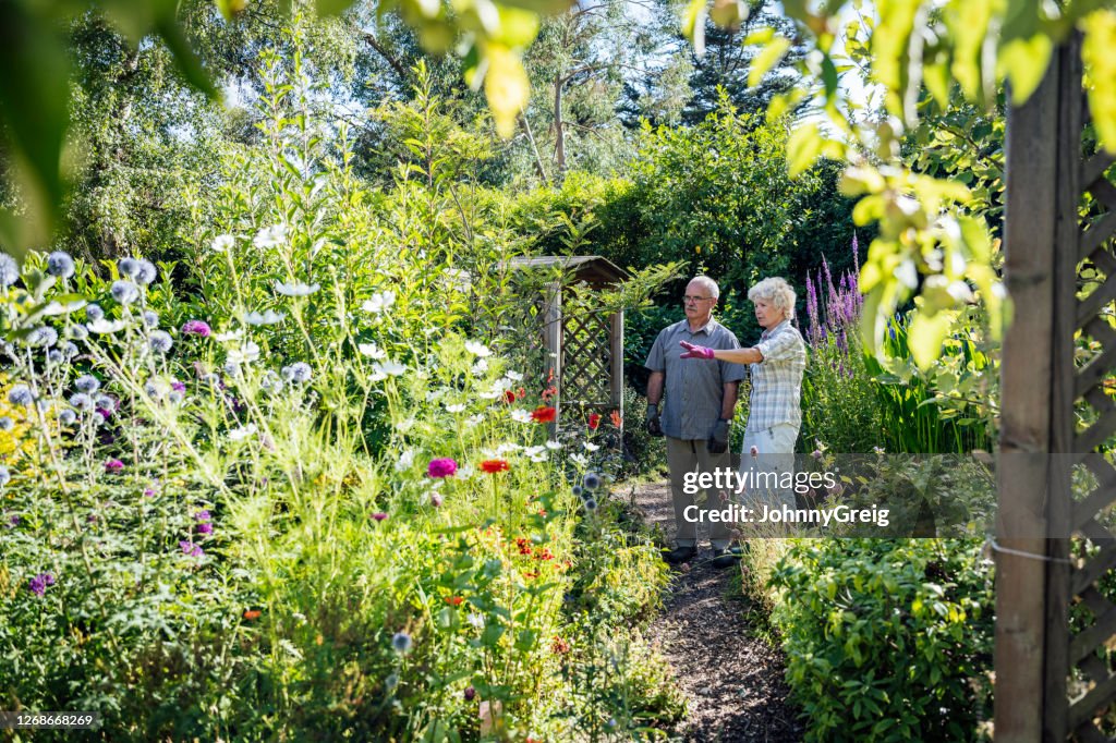 Retired couple discussing plans for their summer garden