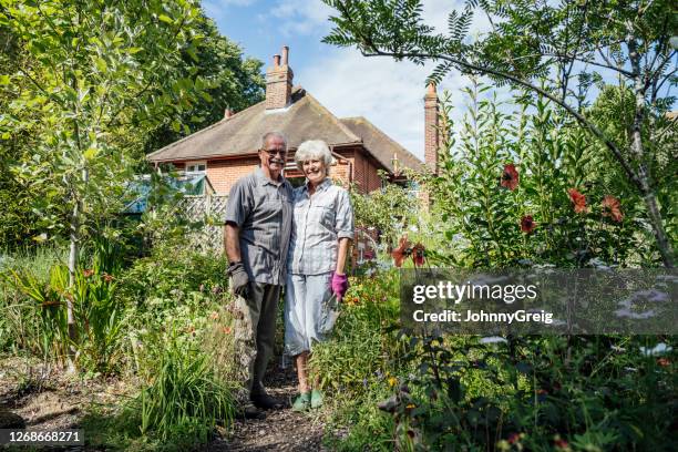 retired caucasian couple standing in english back garden - couple gardening stock pictures, royalty-free photos & images