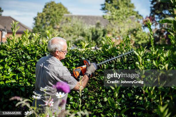 hogere mens die draadloze trimmer gebruikt om tuinhaag te snijden - hedge trimming stockfoto's en -beelden