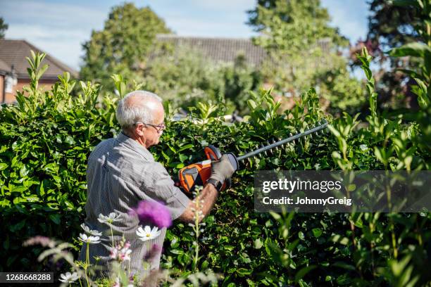senior man using cordless trimmer to cut garden hedge - old hedge trimmers stock pictures, royalty-free photos & images