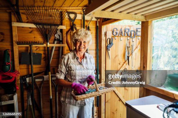 mujer mayor activa que reúne herramientas de jardinería de cobertizo - shed fotografías e imágenes de stock