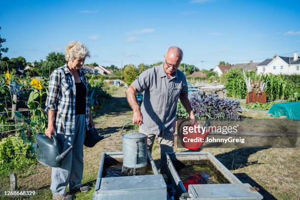 seniors filling watering cans from rainwater tanks in garden - rainwater tank stock pictures, royalty-free photos & images