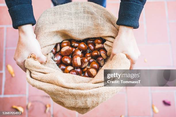 chestnuts in a jute bag - chestnut tree stock pictures, royalty-free photos & images