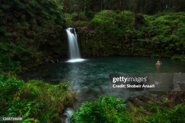 beautiful waterfalls on the road to hana, maui, hawaii - hawaiian waterfalls fotografías e imágenes de stock