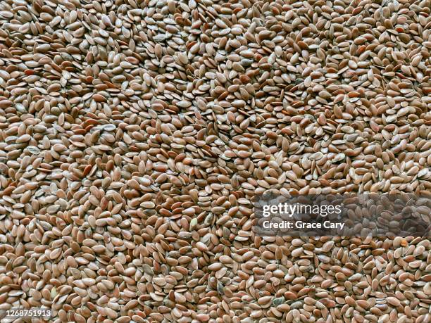 whole flaxseed - flax seed stock pictures, royalty-free photos & images