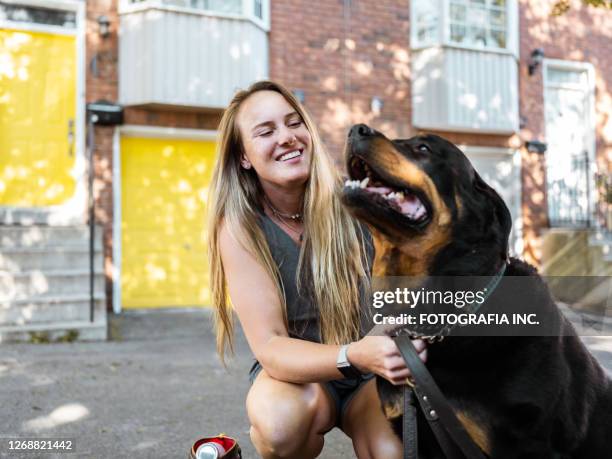 Three Rottweilers Woman 3,279 Rottweiler Stock Photos, High-Res Pictures, and Images - Getty Images