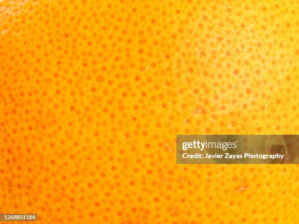 grapefruit skin - macrophotographie photos et images de collection