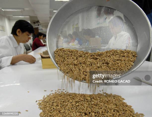 466 Philippine Rice Research Institute Stock Photos, High-Res Pictures ...