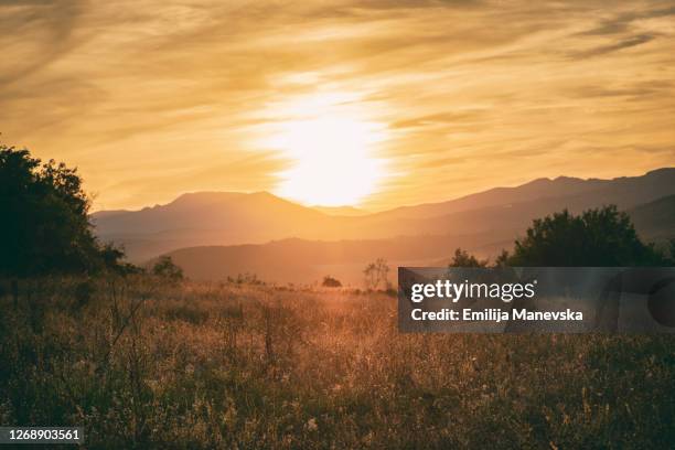 sunset over beautiful meadow - macedonia country stock pictures, royalty-free photos & images