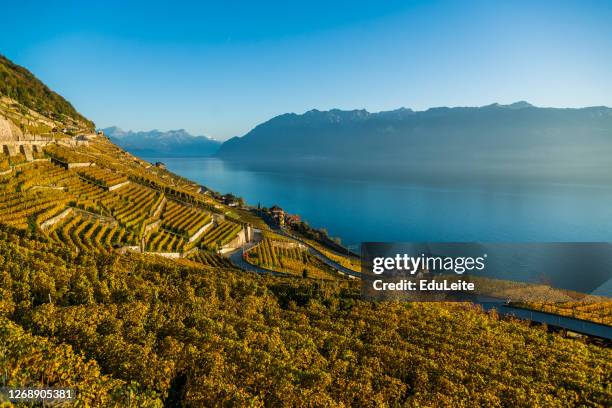 lavaux vineyards - cantão de vaud imagens e fotografias de stock