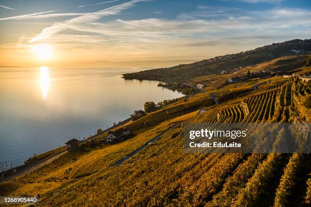 lavaux vineyards at sunset - lausanne stock pictures, royalty-free photos & images