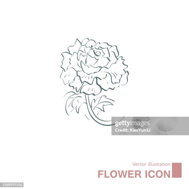 vector drawn flowers. - peonies garden stock illustrations