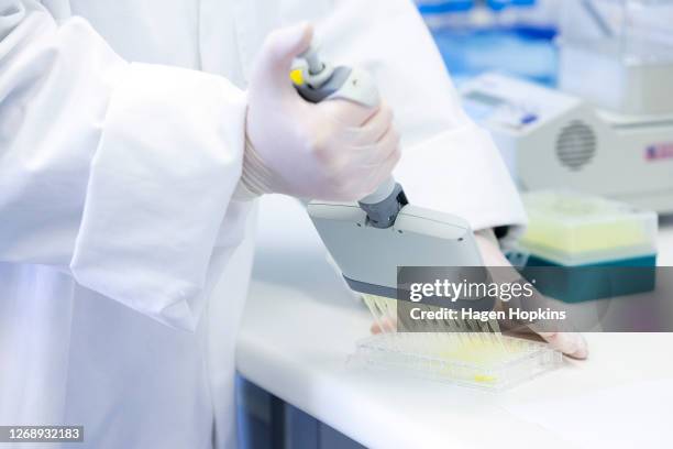 Lab technician fills a 96 well plate with antibody tests during a visit to the Malaghan Institute of Medical Research at Victoria University on...