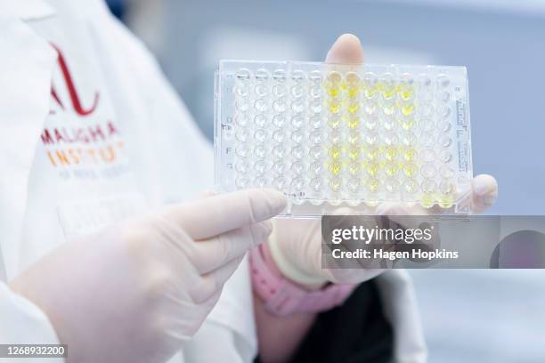 Lab technician holds a 96 well plate holding antibody tests during a visit to the Malaghan Institute of Medical Research at Victoria University on...