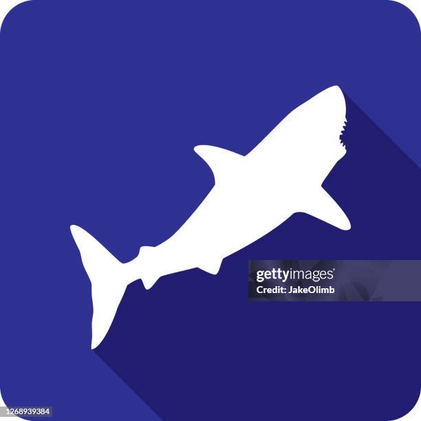 stockillustraties, clipart, cartoons en iconen met shark icon silhouet 2 - dierentand