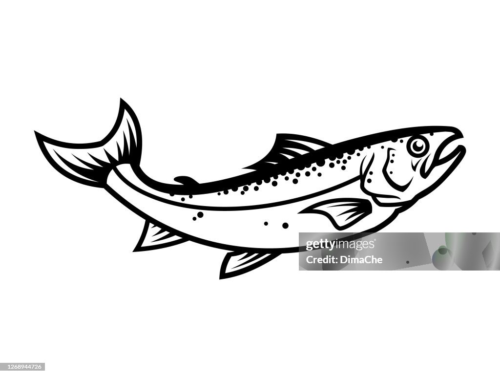 Lachs Fisch Silhouette - ausgeschnitten Vektor-Symbol