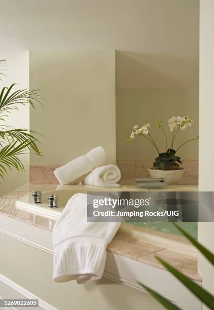 whirlpool tub at luxury hotel - bathroom pot plant stock pictures, royalty-free photos & images