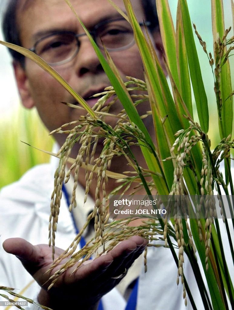 PHILIPPINES-RICE