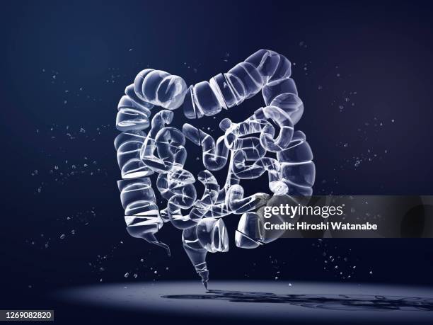 broken glass colon - colorectal cancer screening 個照片及圖片檔