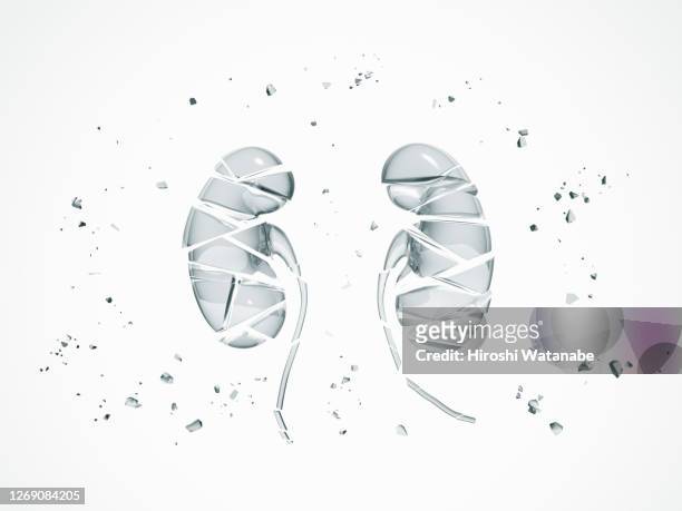 broken glass kidney - cristal material fotografías e imágenes de stock