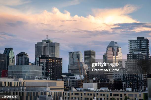 paisaje urbano de montreal durante la puesta del sol. - montreal city fotografías e imágenes de stock