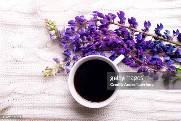 cup of coffee and magic lupins on a white background. - coffee top view stock-fotos und bilder