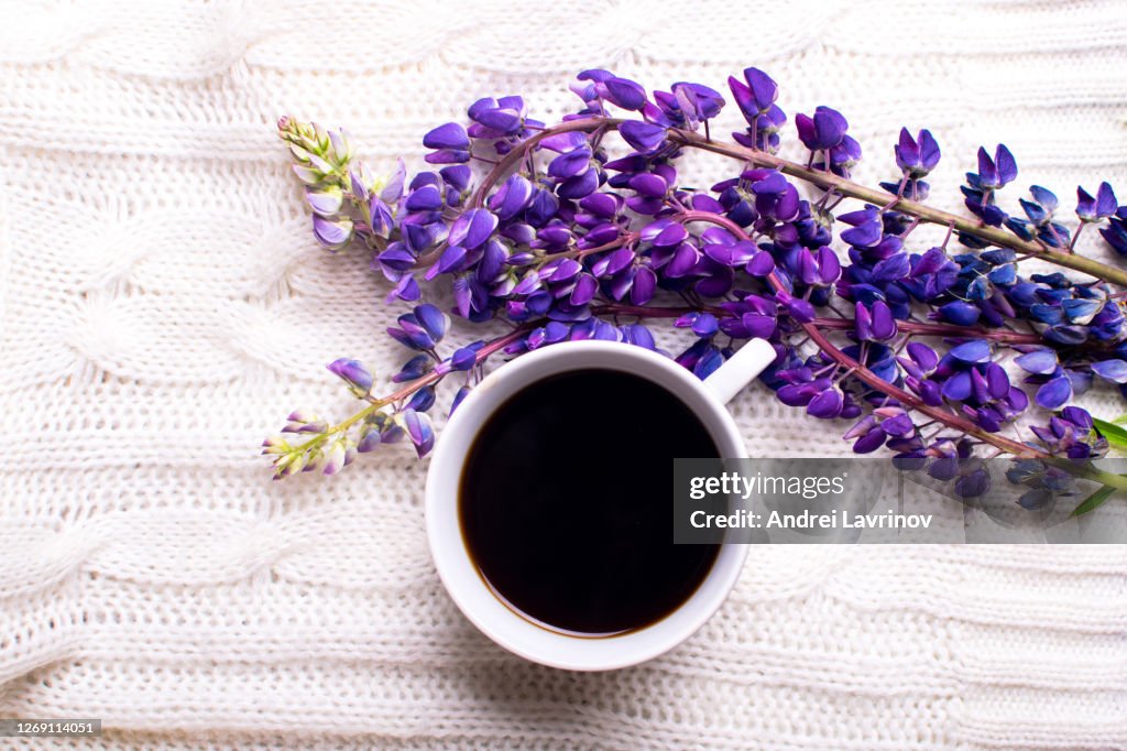 Cup of coffee and magic lupins on a white background.