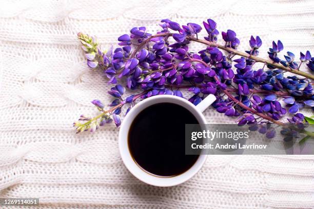 cup of coffee and magic lupins on a white background. - breakfast top view stock pictures, royalty-free photos & images