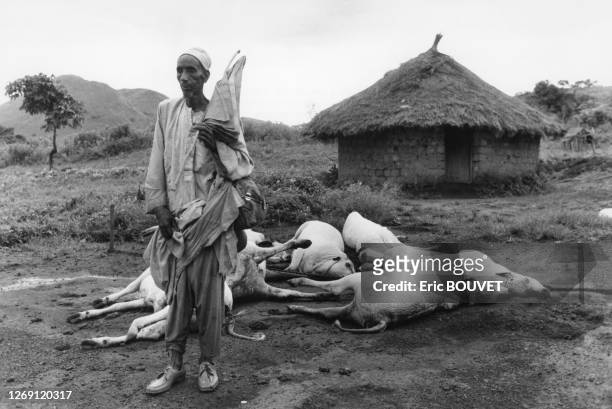 Un paysan devant les cadavres de ses vaches tuées après la catastrophe du lac de Nyos, au Cameroun en août 1986.