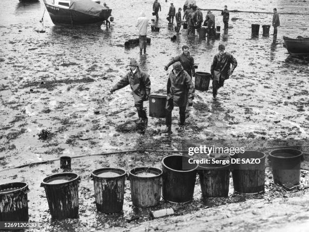 Pompage du mazout par l'armée dans le port de Portsall, après la marée noire causée par le naufrage de l''Amoco Cadiz', en mars 1978, dans le...