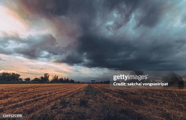 low angle view of storm cloud over farm during sunset - cielo dramático fotograf�ías e imágenes de stock