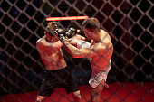 MMA fights in octagon. Training