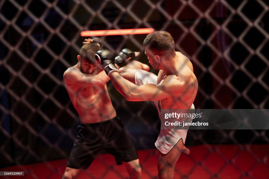 MMA fights in octagon. Training