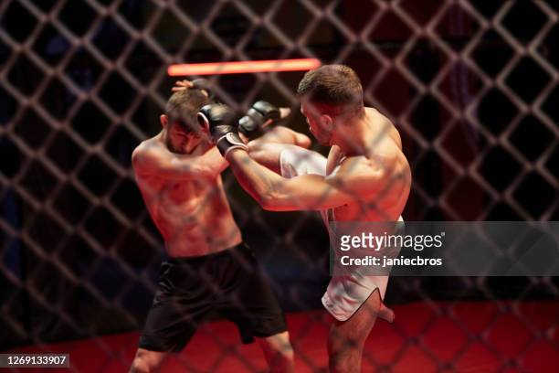 mma fights in octagon. training - mixed martial arts stock pictures, royalty-free photos & images