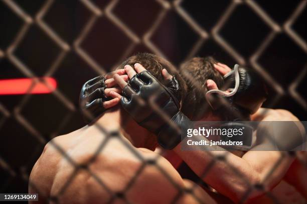 mma fights in octagon. training - octagon box stock pictures, royalty-free photos & images