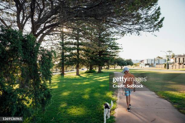 walking my dog - perth wa stock pictures, royalty-free photos & images