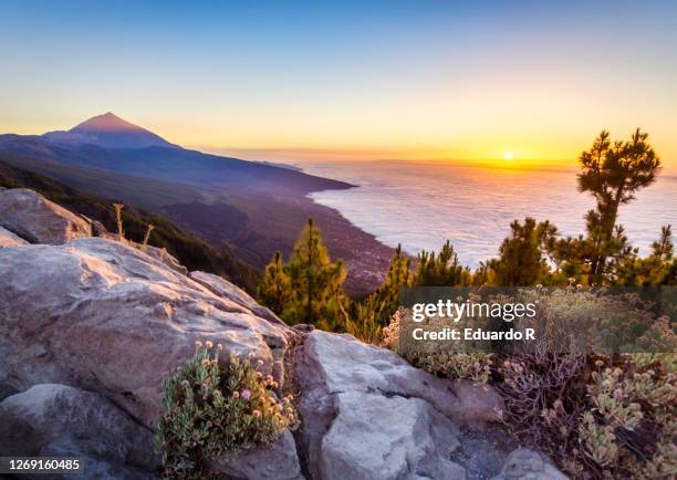 beach and mountain landscape - pico de teide stock-fotos und bilder